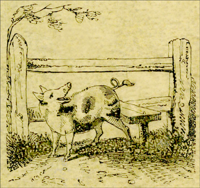 The Remarkable Adventures of an Old Woman and Her Pig / An Ancient Tale in a Modern Dress